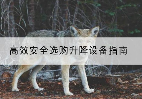 南澳升降货梯厂家推荐-*安全选购升降设备指南