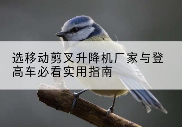 南澳电动升降机厂家-选移动剪叉升降机厂家与登高车必看实用指南