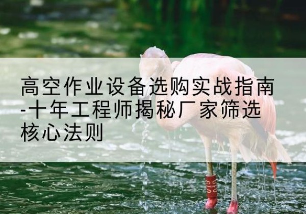 南澳剪叉式升降机厂家-高空作业设备选购实战指南-十年工程师揭秘厂家筛选核心法则
